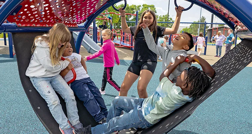 Brava Universal Swing by Burke